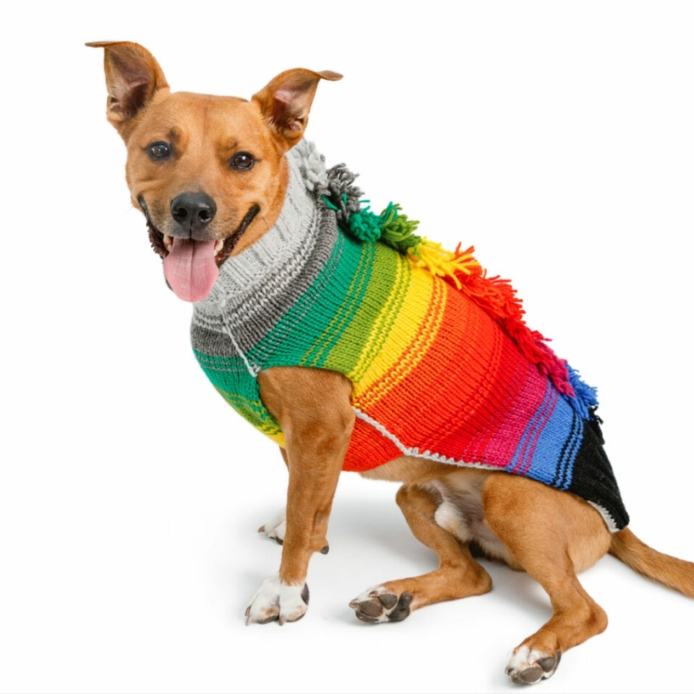 Chilly Dog 100%Wool dog sweater